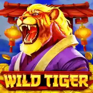 Wild Tiger game by BGAMING – logo hosted on Volt Casino